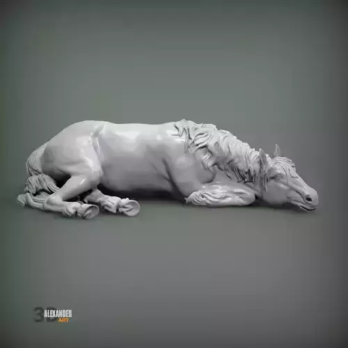 horse is sleeping