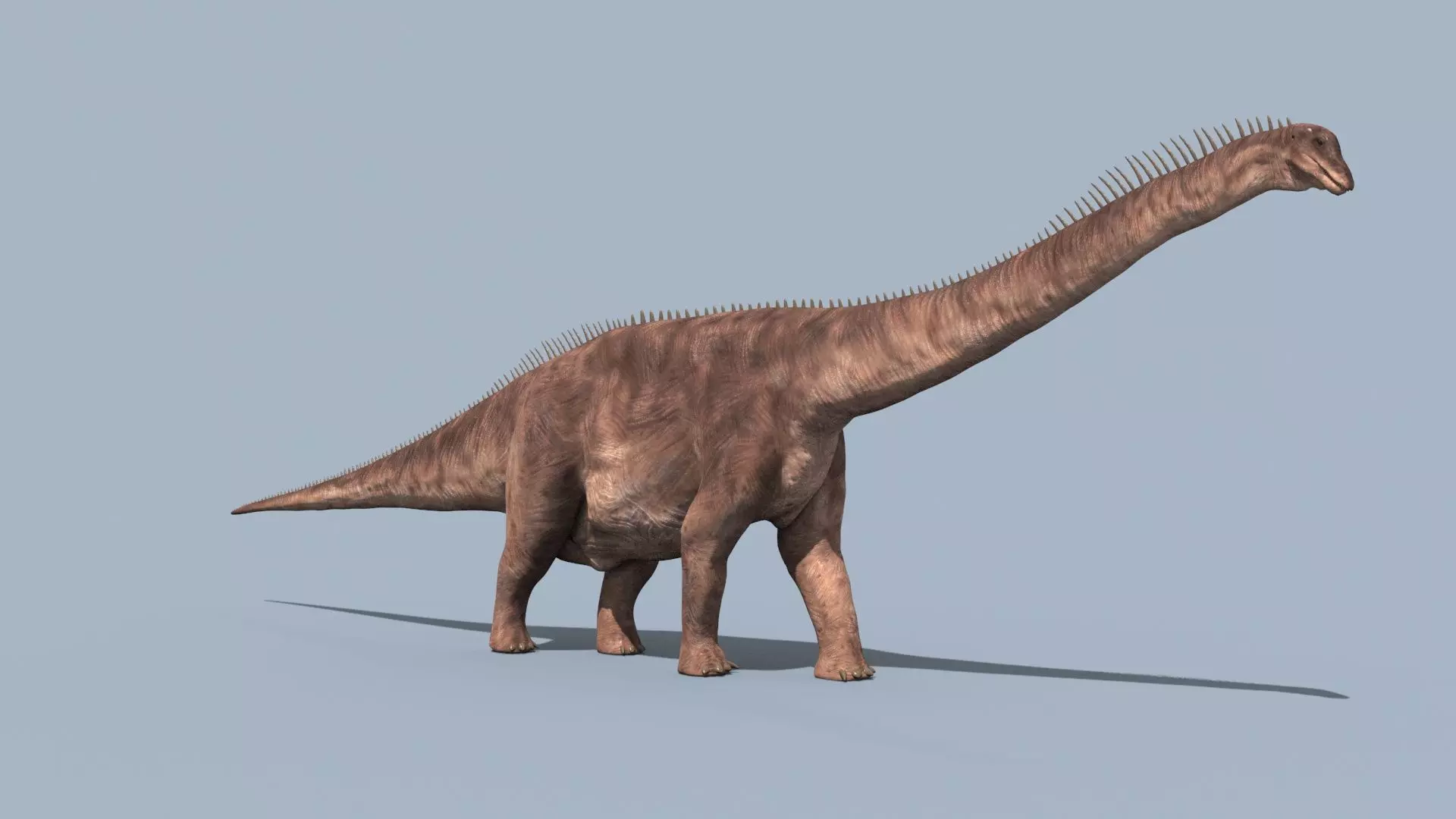 Argentinosaur Forever - 8K 3D model_6