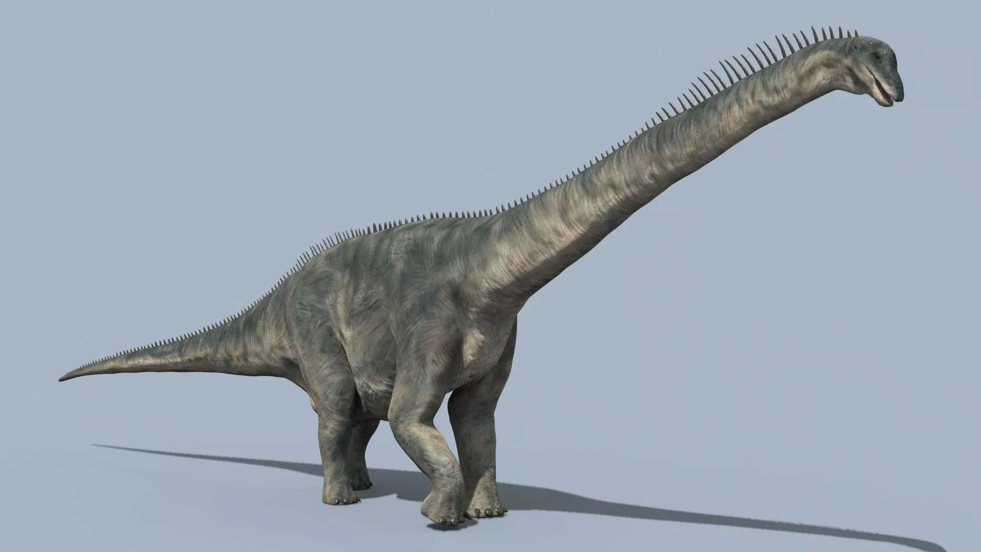 Argentinosaur Forever - 8K 3D model_4