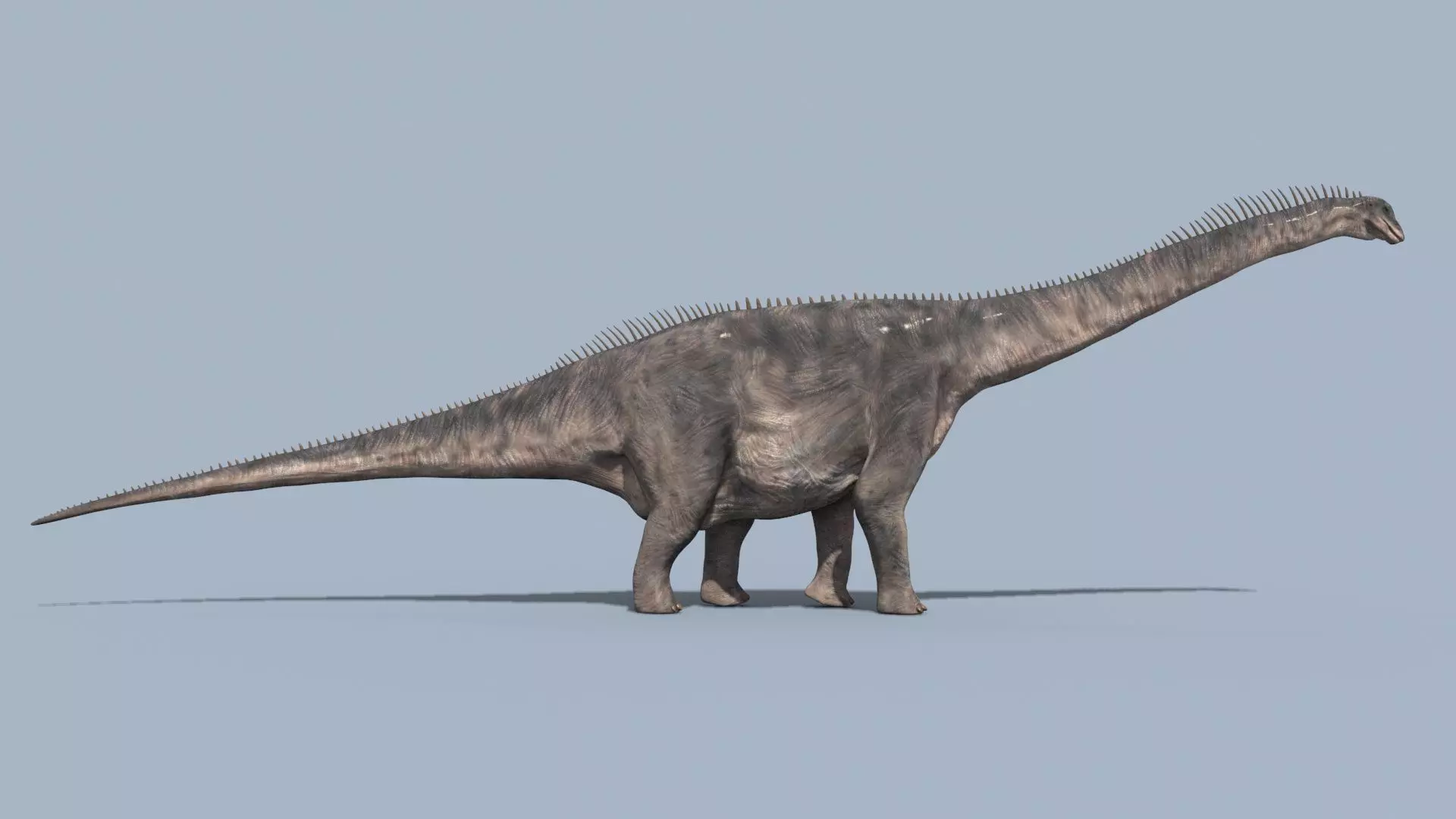 Argentinosaur Forever - 8K 3D model_9