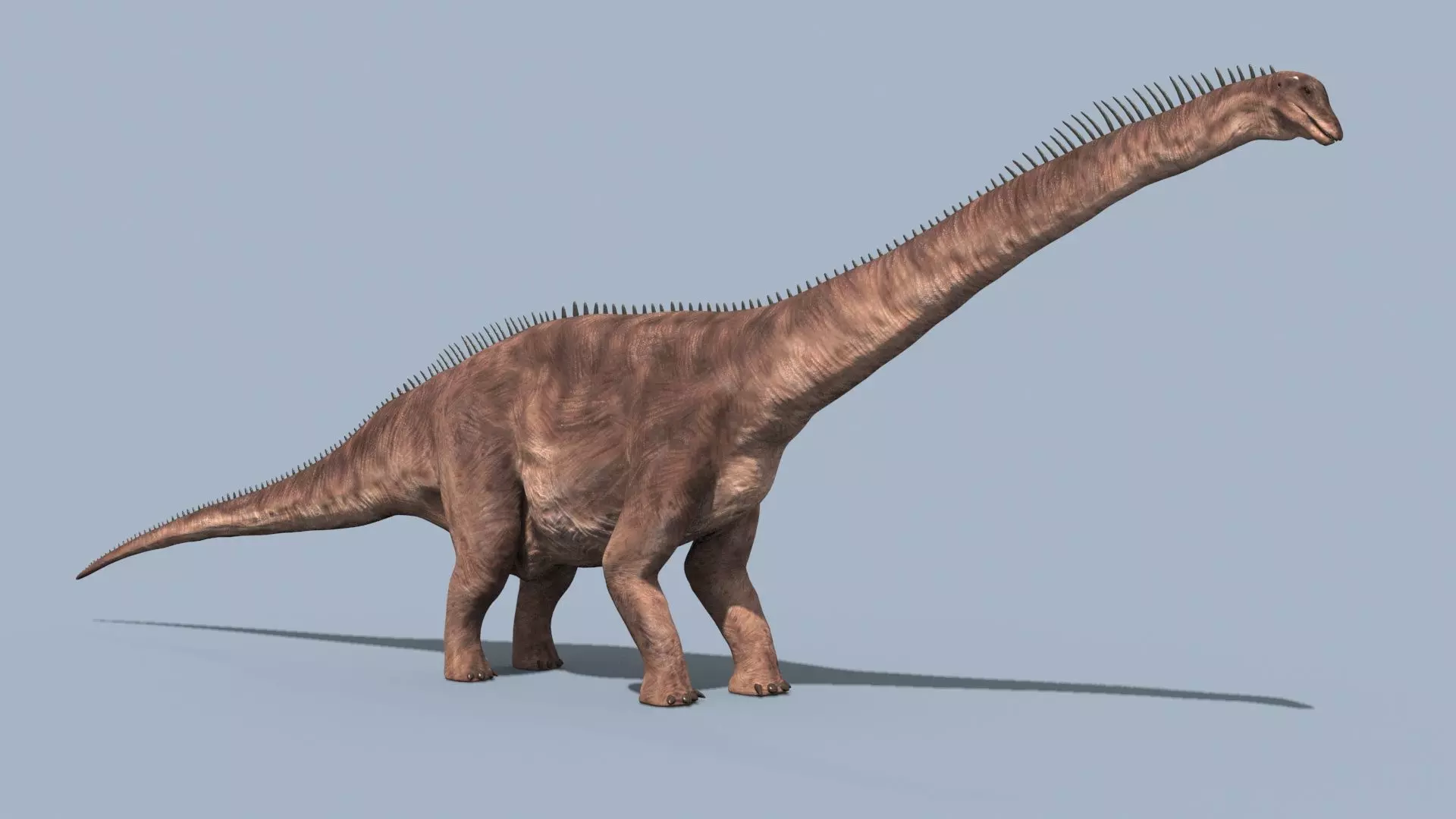 Argentinosaur Forever - 8K 3D model_3