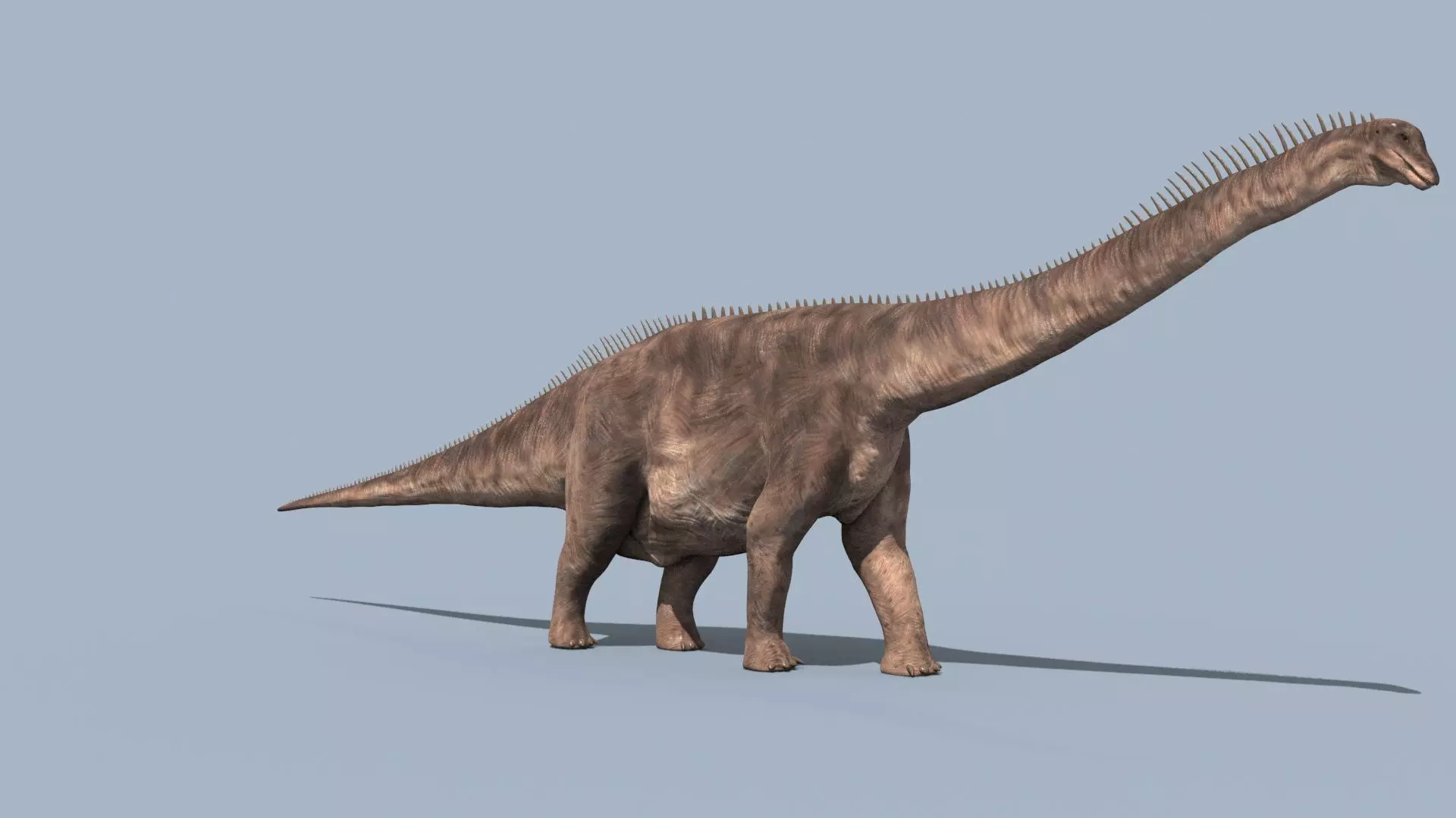 Argentinosaur Forever - 8K 3D model_8