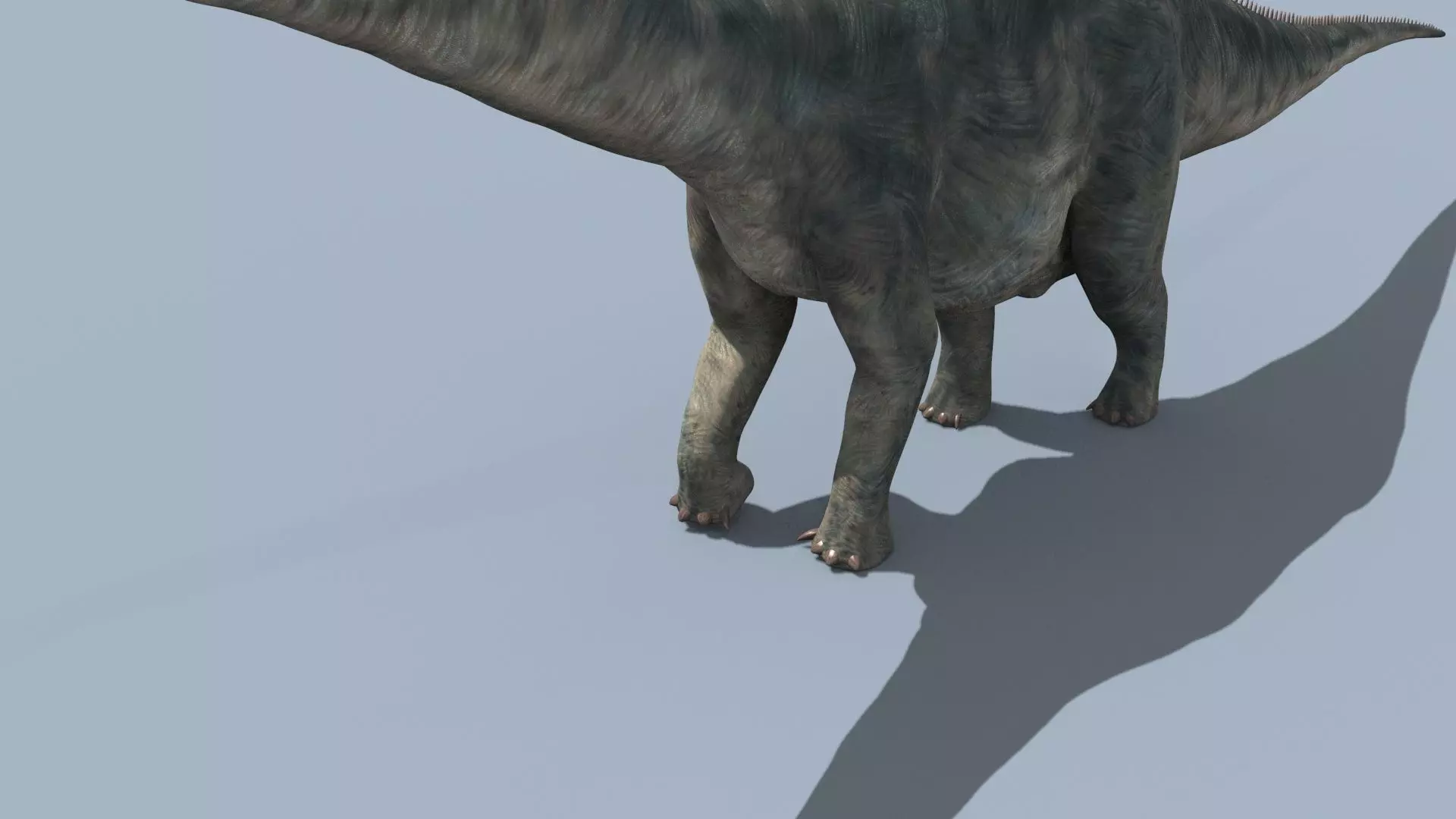 Argentinosaur Forever - 8K 3D model_12