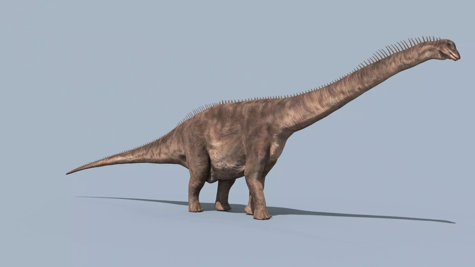 Argentinosaur Forever - 8K 3D model_5