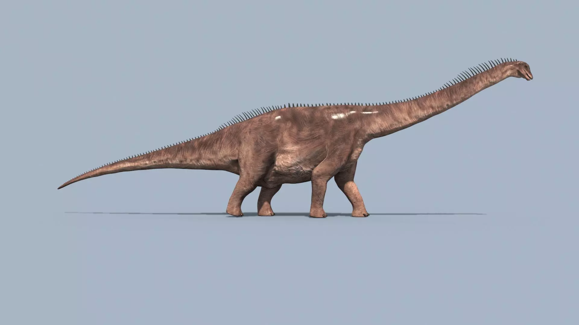 Argentinosaur Forever - 8K 3D model_15