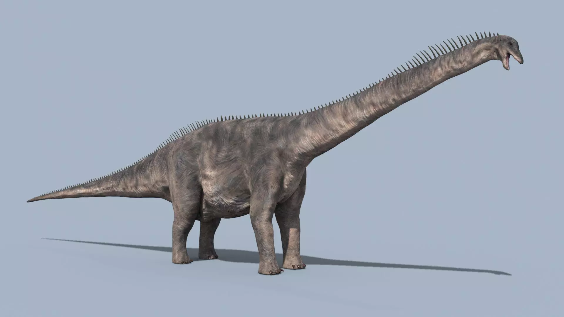 Argentinosaur Forever - 8K 3D model_2