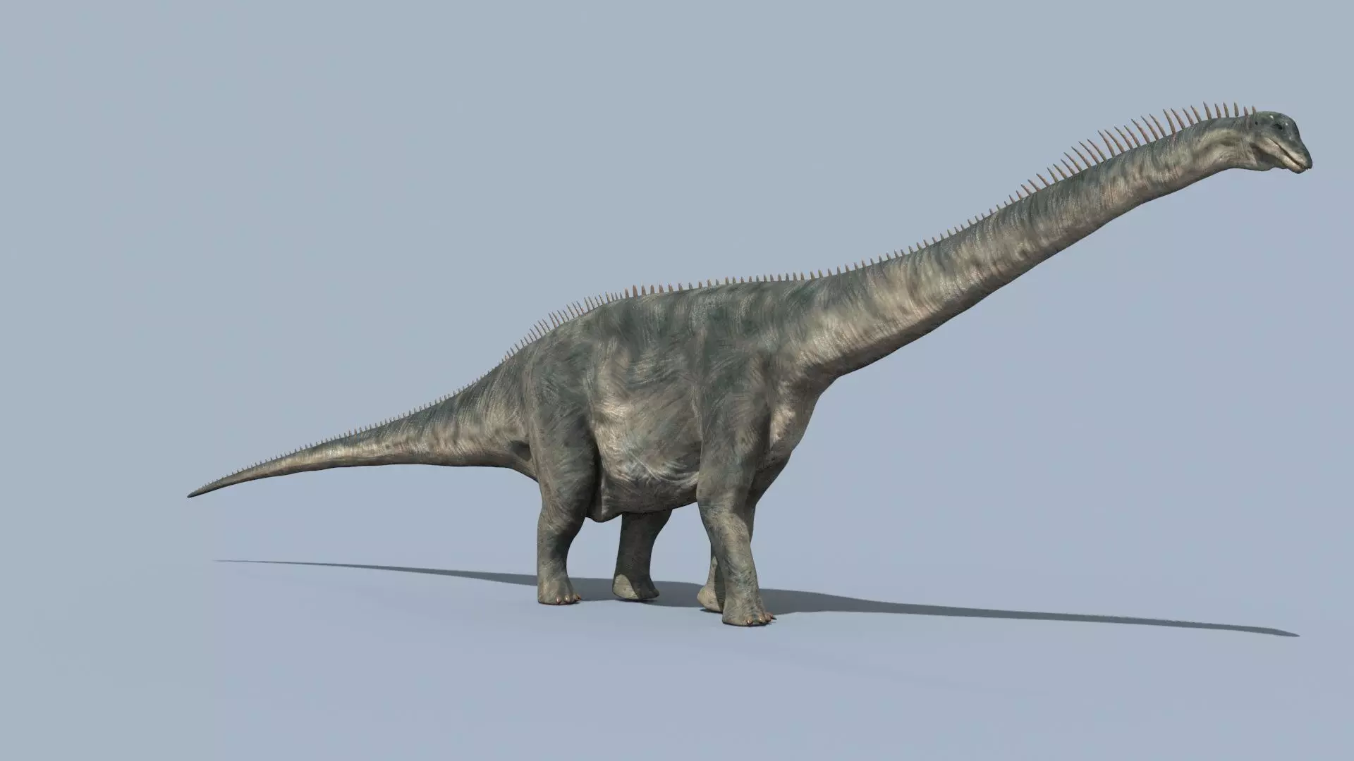 Argentinosaur Forever - 8K 3D model_7