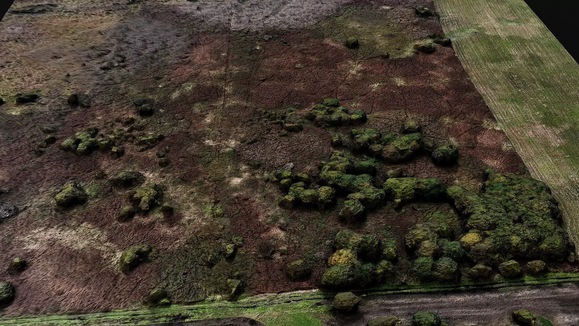 landscape grass fields 400m patch PBR photogrammetry Low-poly 3D model_5