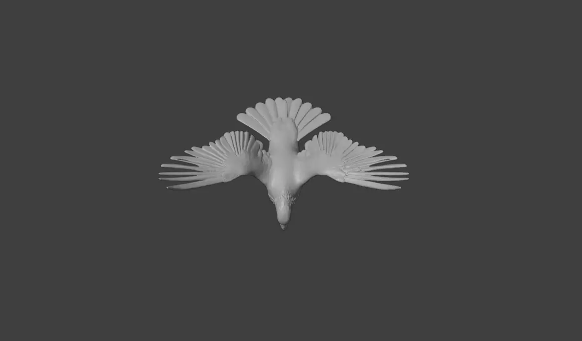 Flying Pigeon Low-poly 3D model_21