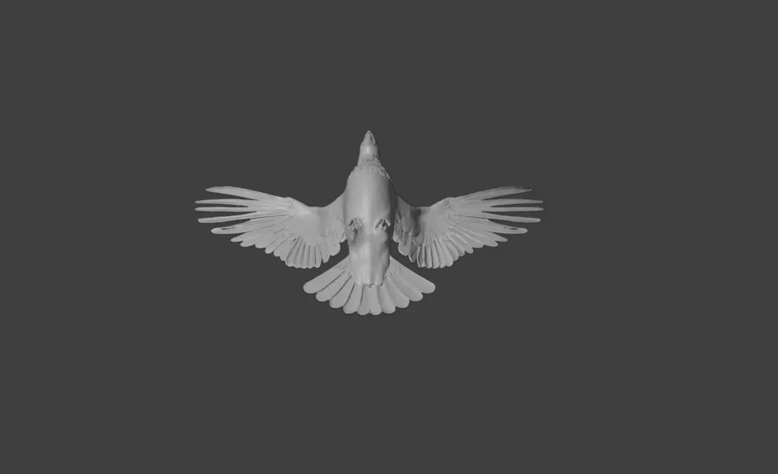 Flying Pigeon Low-poly 3D model_22