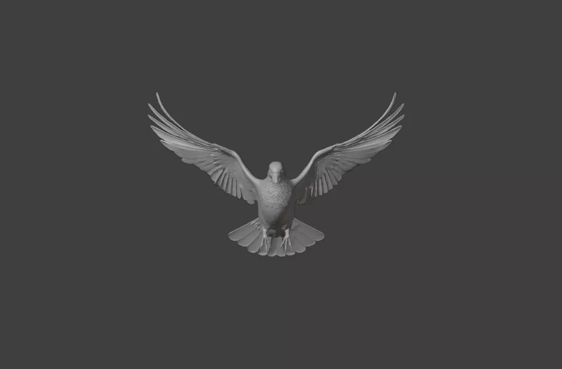 Flying Pigeon Low-poly 3D model_17