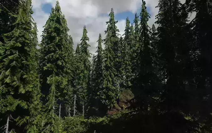 ROBLOX Realistic Douglas Fir Tree Pack
