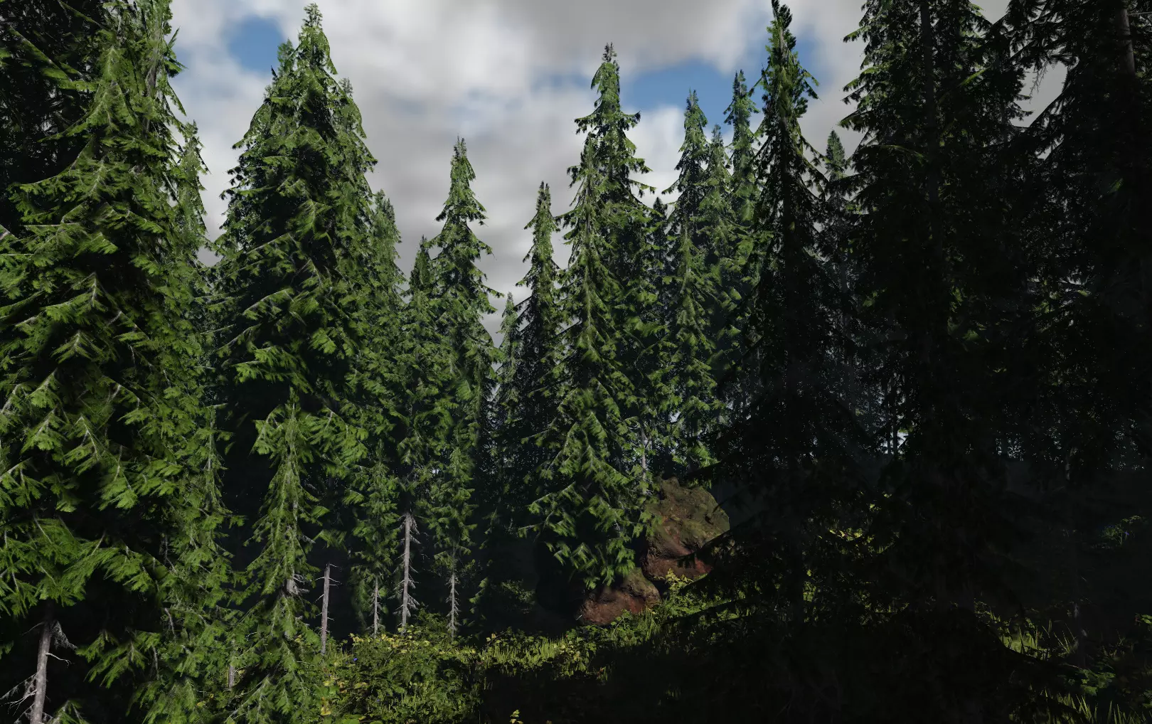 ROBLOX Realistic Douglas Fir Forest Tree Pack Low-poly 3D model_0