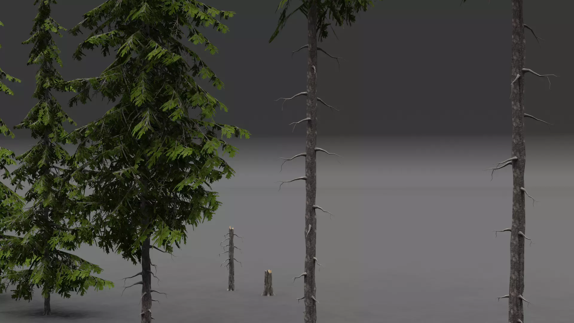 ROBLOX Realistic Douglas Fir Forest Tree Pack Low-poly 3D model_7