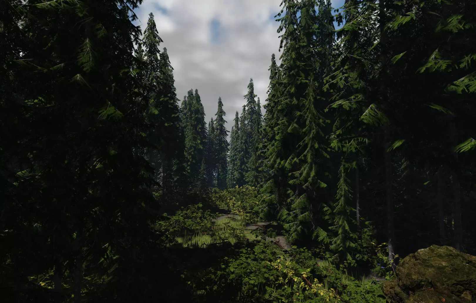 ROBLOX Realistic Douglas Fir Forest Tree Pack Low-poly 3D model_1