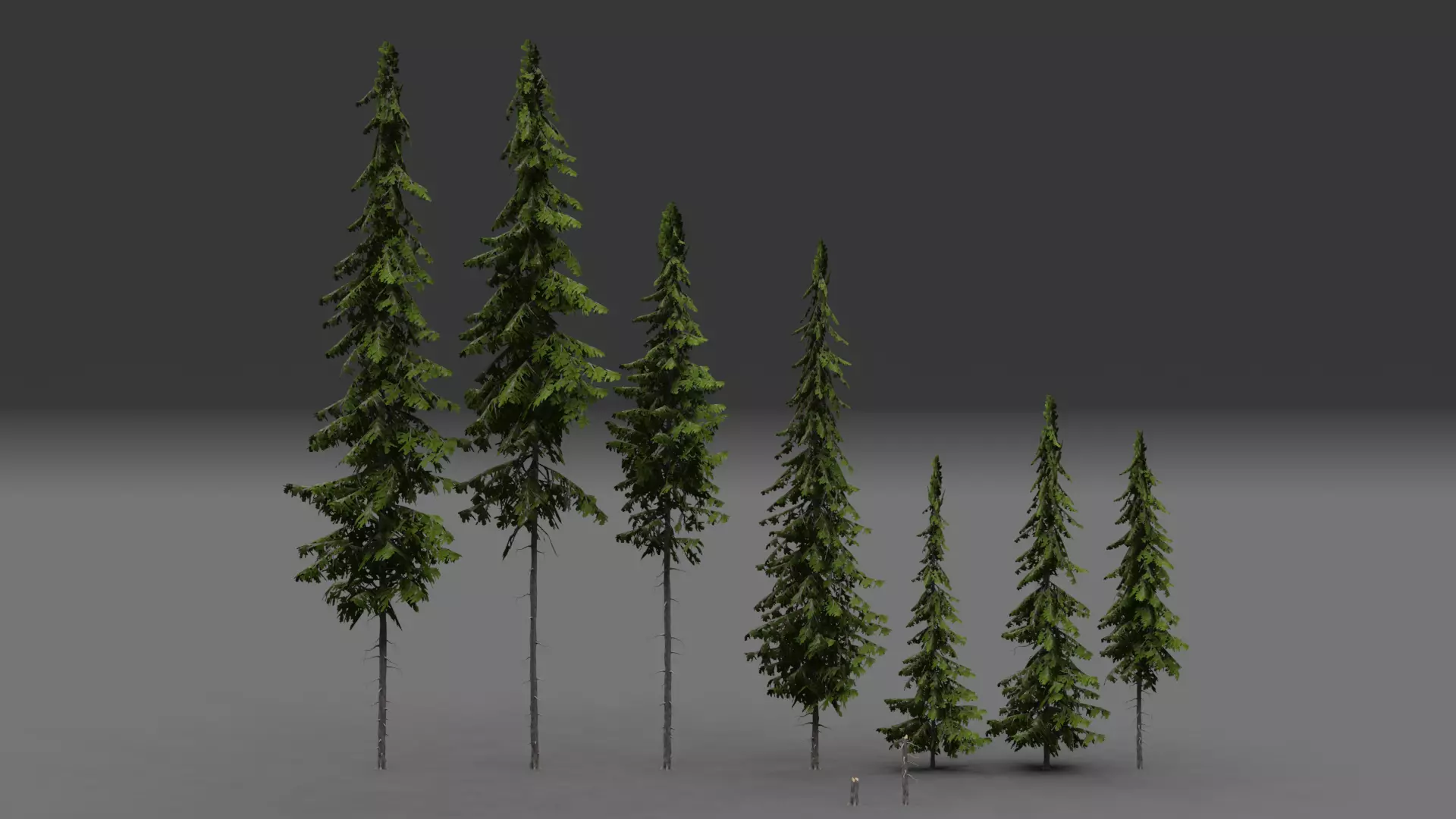 ROBLOX Realistic Douglas Fir Forest Tree Pack Low-poly 3D model_5
