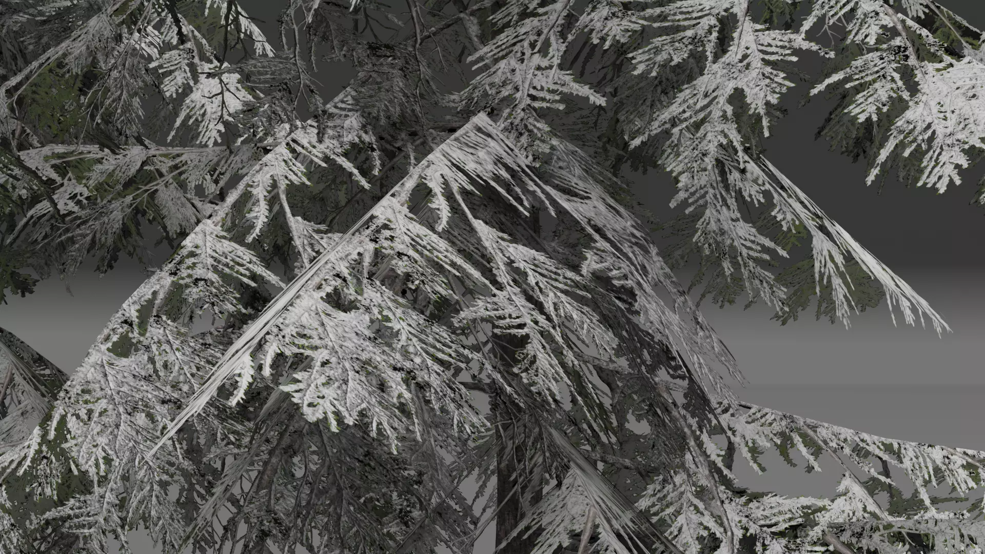 ROBLOX Realistic Douglas Fir Forest Tree Pack Low-poly 3D model_9