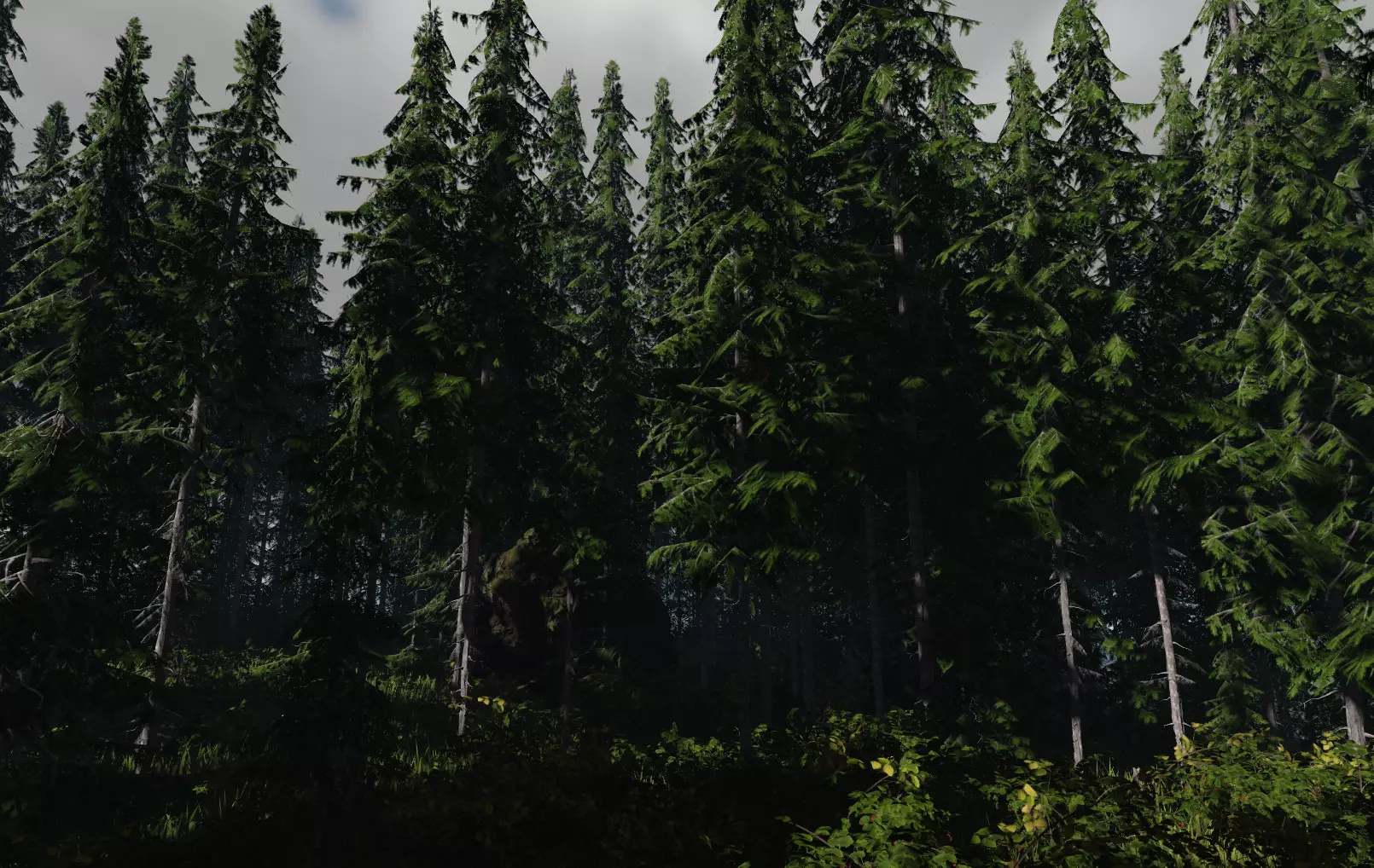 ROBLOX Realistic Douglas Fir Forest Tree Pack Low-poly 3D model_3