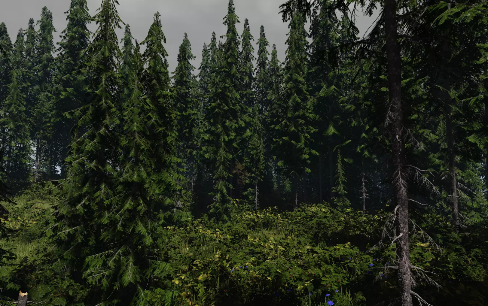 ROBLOX Realistic Douglas Fir Forest Tree Pack Low-poly 3D model_2