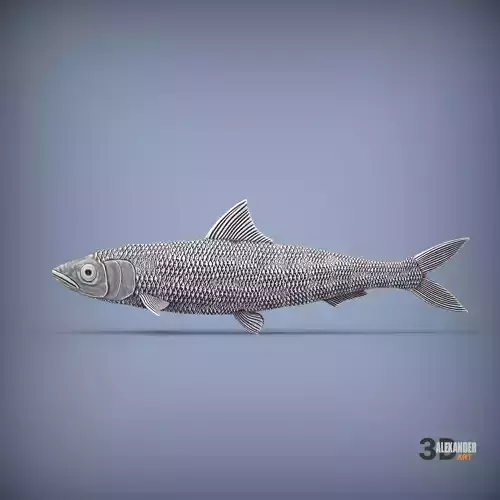 sardine 3D print model