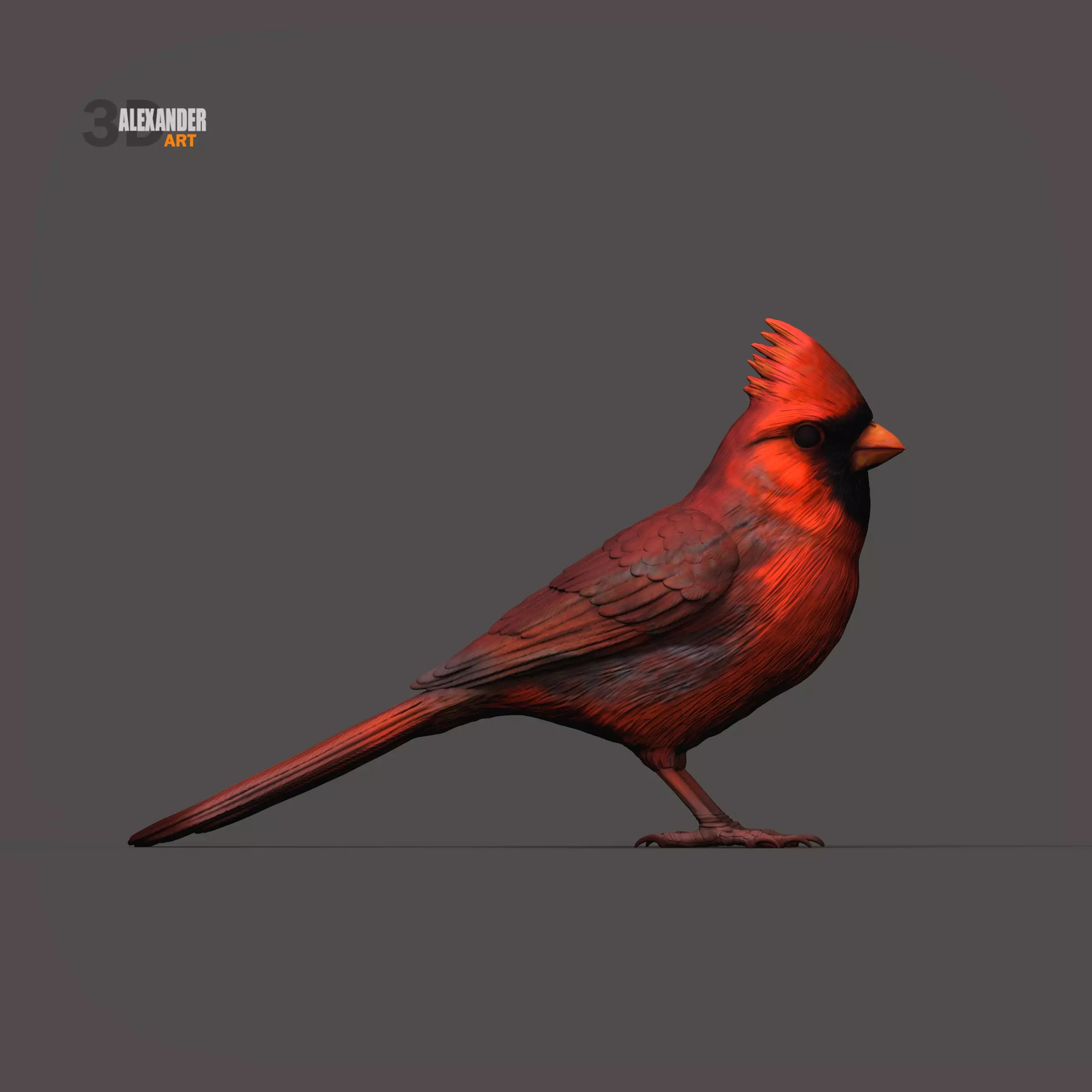 northern cardinal 3D print model