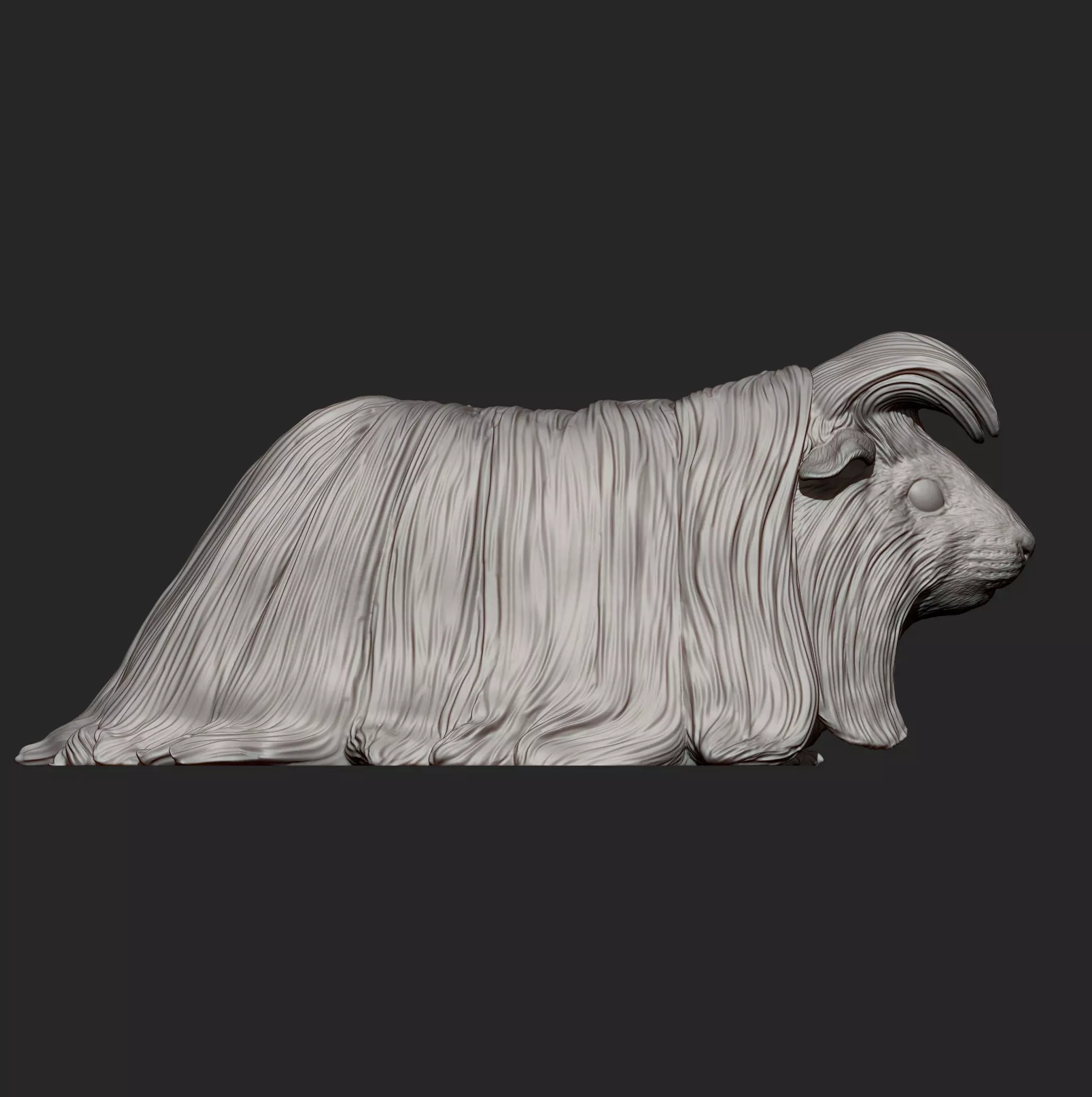 Peruvian long-haired guinea pig 3D print model_6
