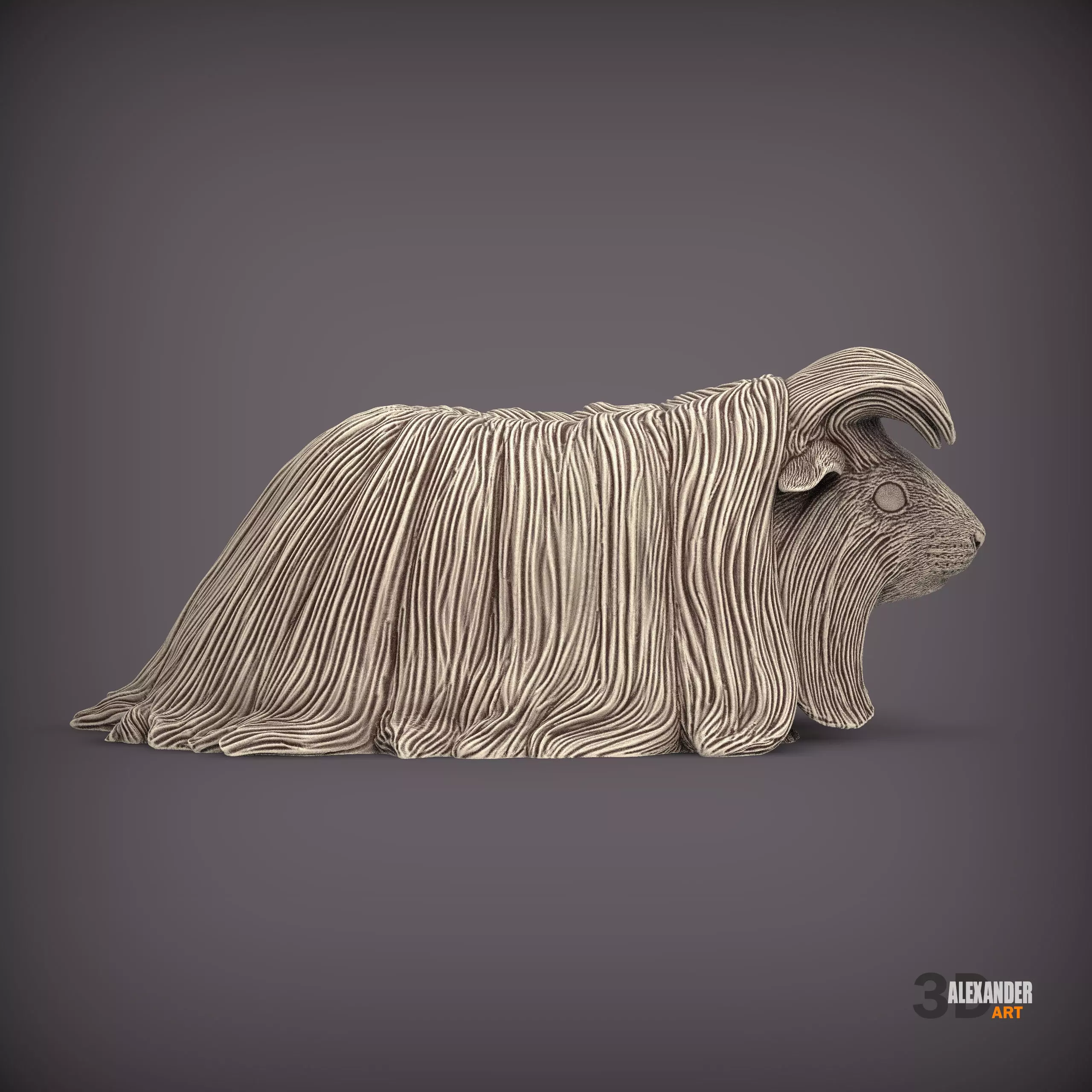 Peruvian long-haired guinea pig 3D print model_3