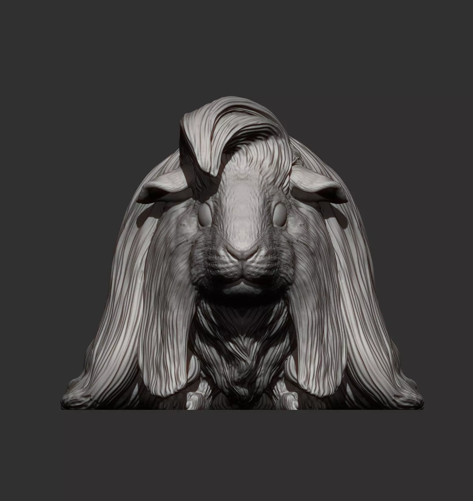 Peruvian long-haired guinea pig 3D print model_9