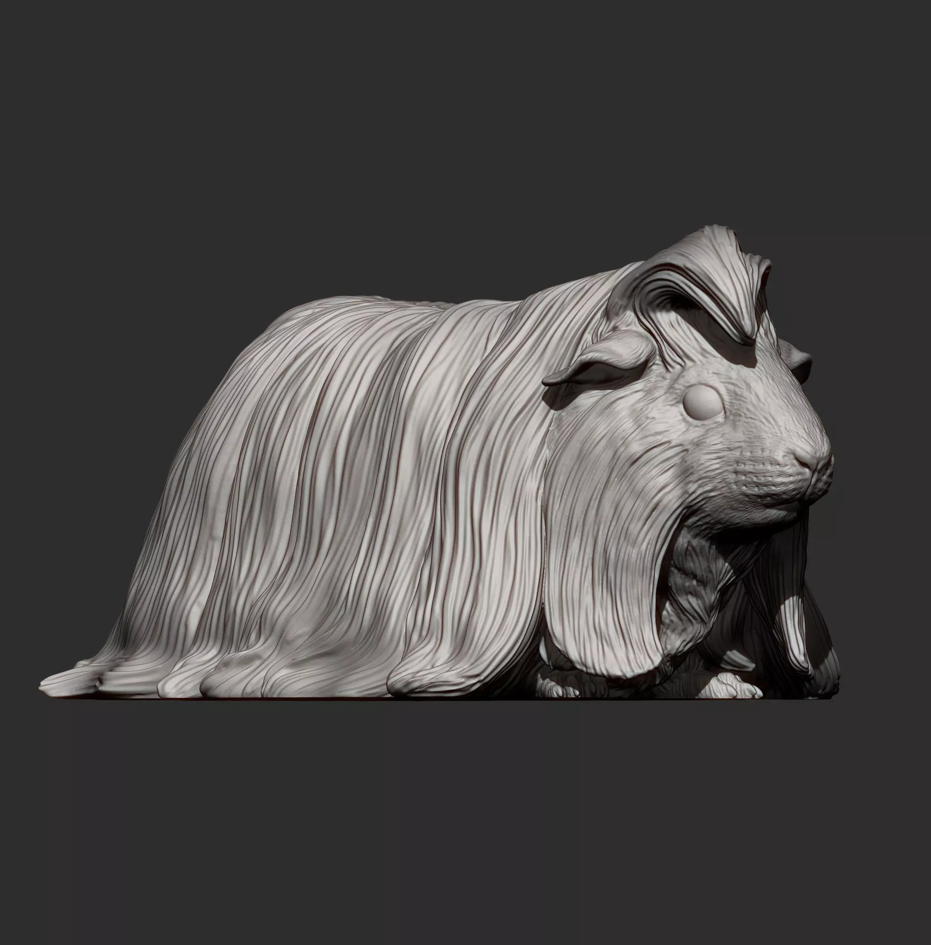 Peruvian long-haired guinea pig 3D print model_8
