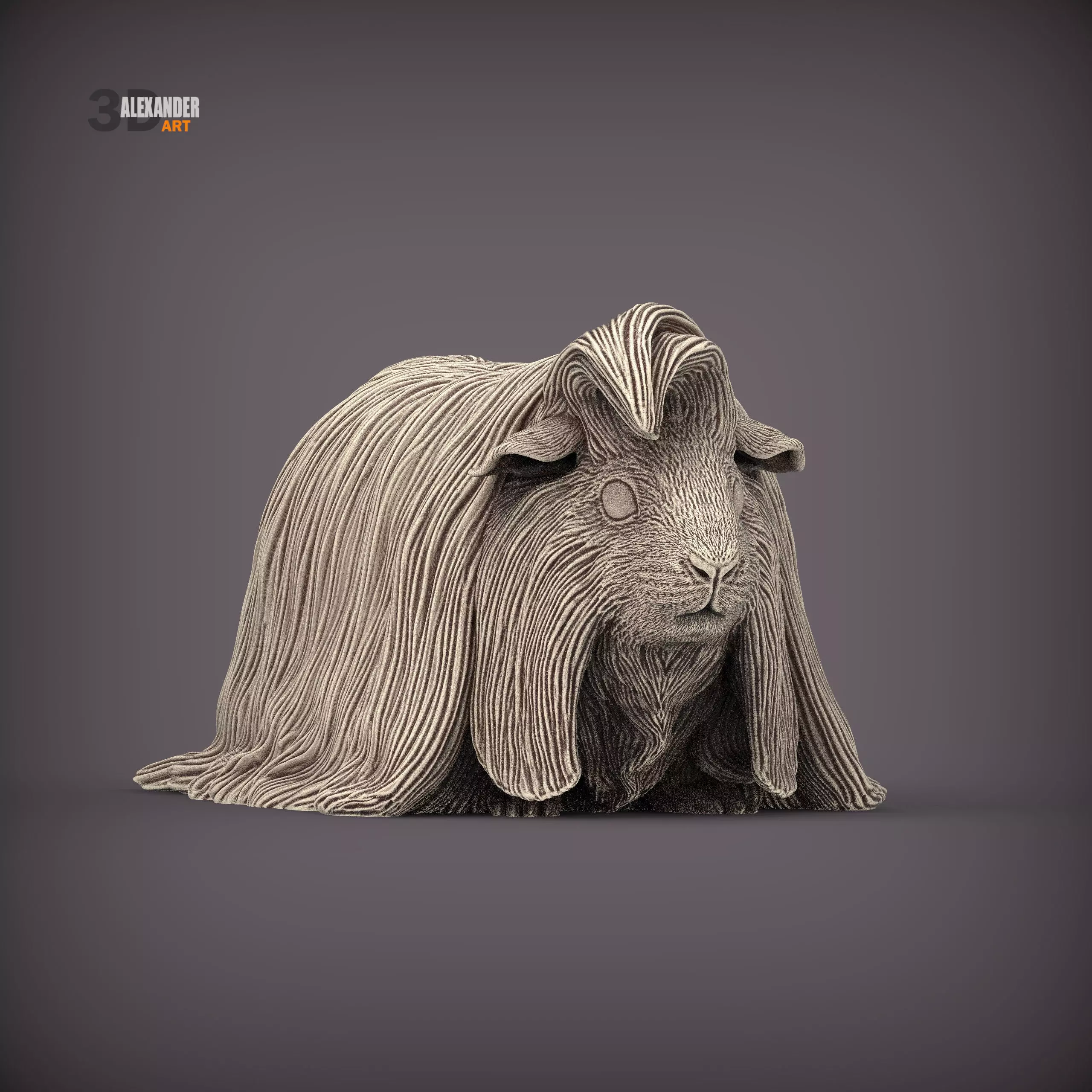 Peruvian long-haired guinea pig 3D print model_2
