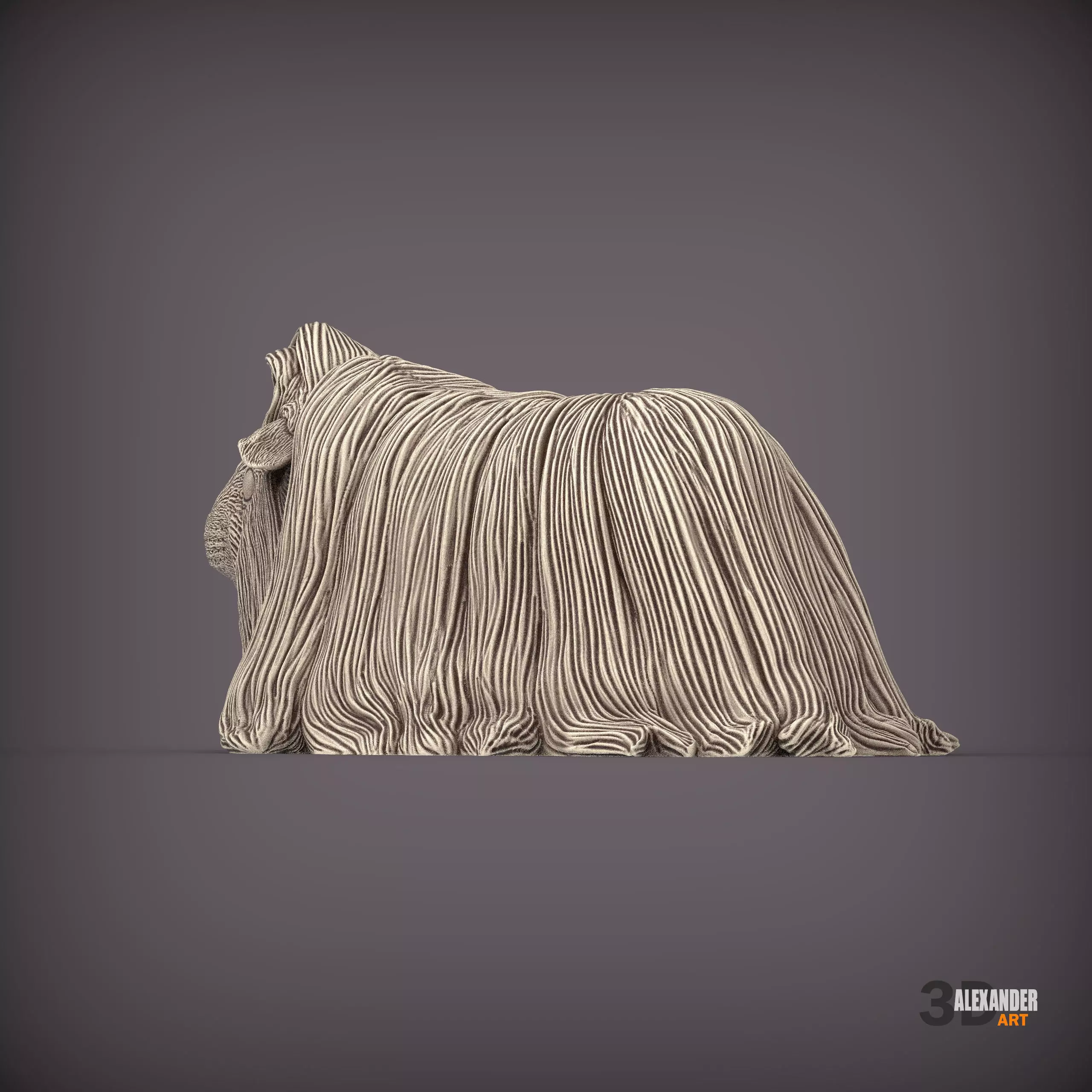Peruvian long-haired guinea pig 3D print model_4