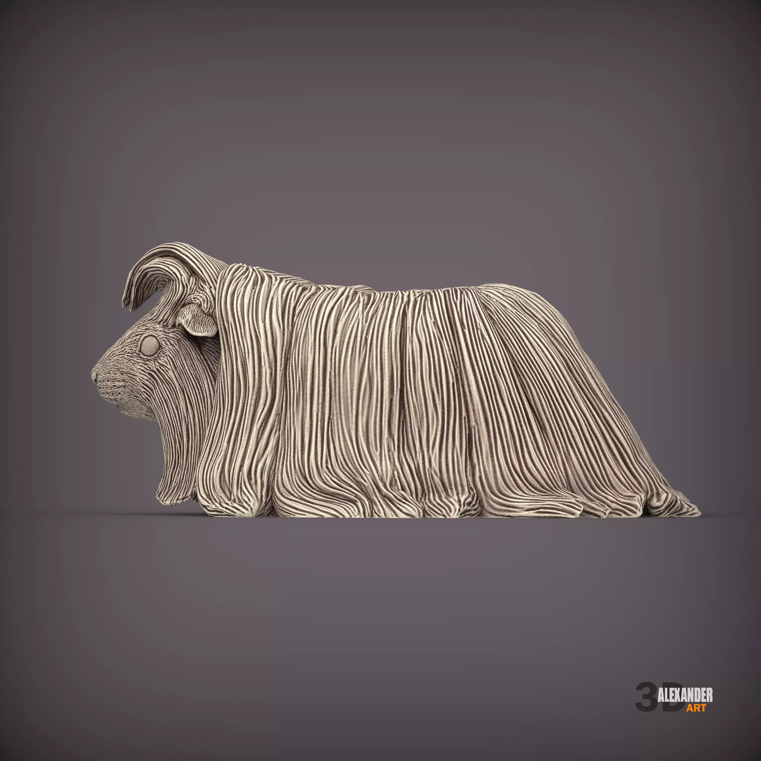 Peruvian long-haired guinea pig 3D print model_0