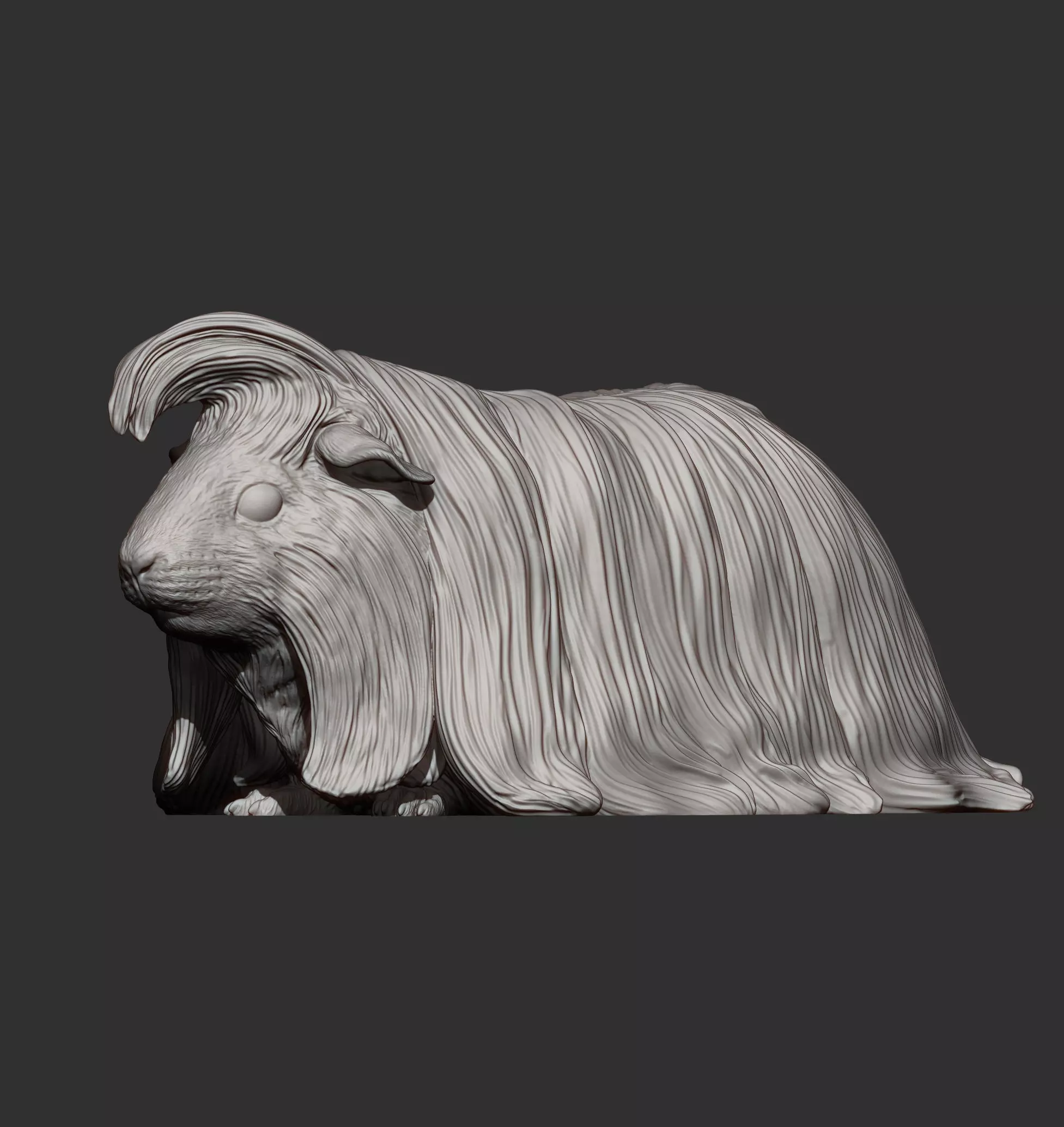 Peruvian long-haired guinea pig 3D print model_7