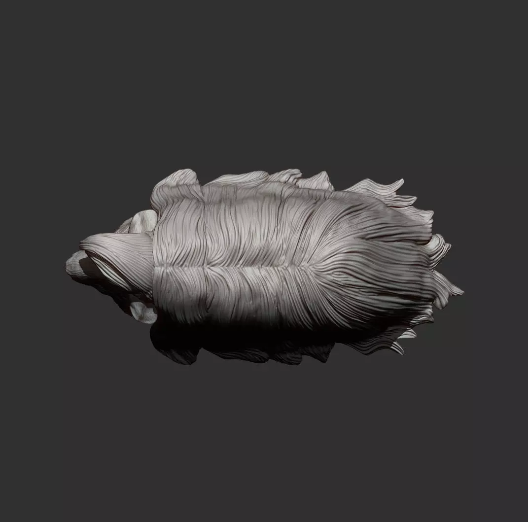 Peruvian long-haired guinea pig 3D print model_5