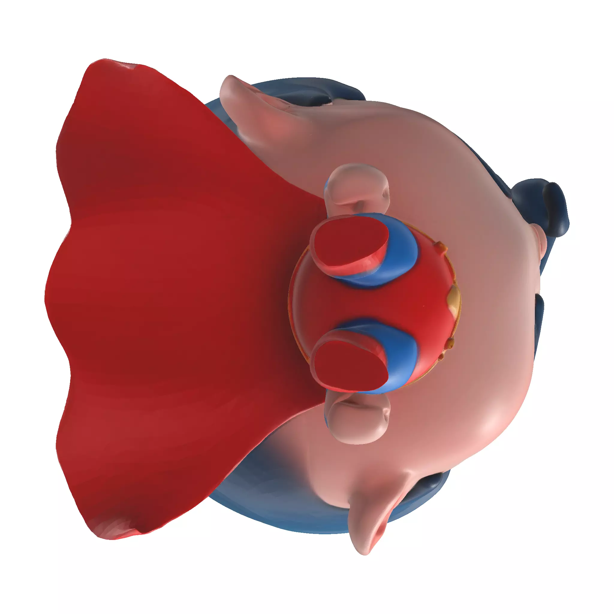 Cute Superhero 3D Model STL OBJ FBX GLB  3D print model_40