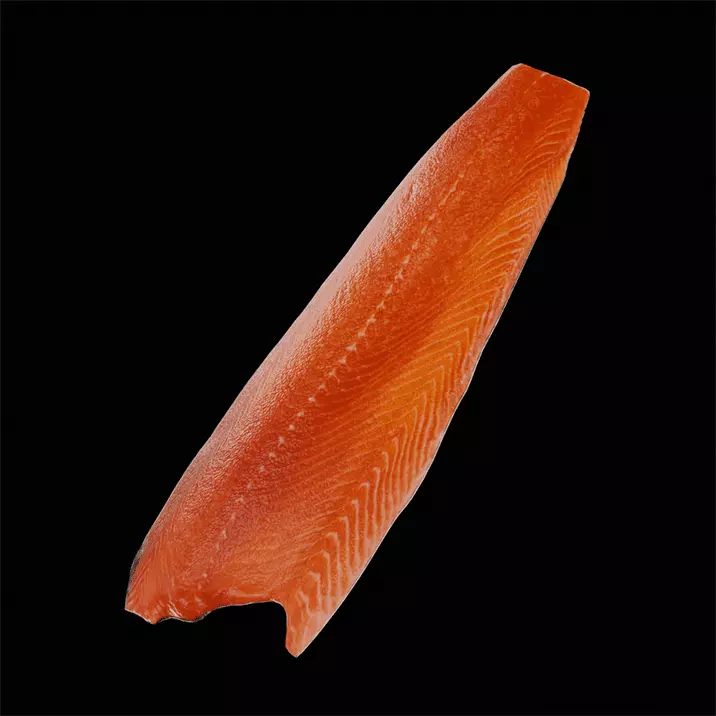 Fish 2 3D model_4