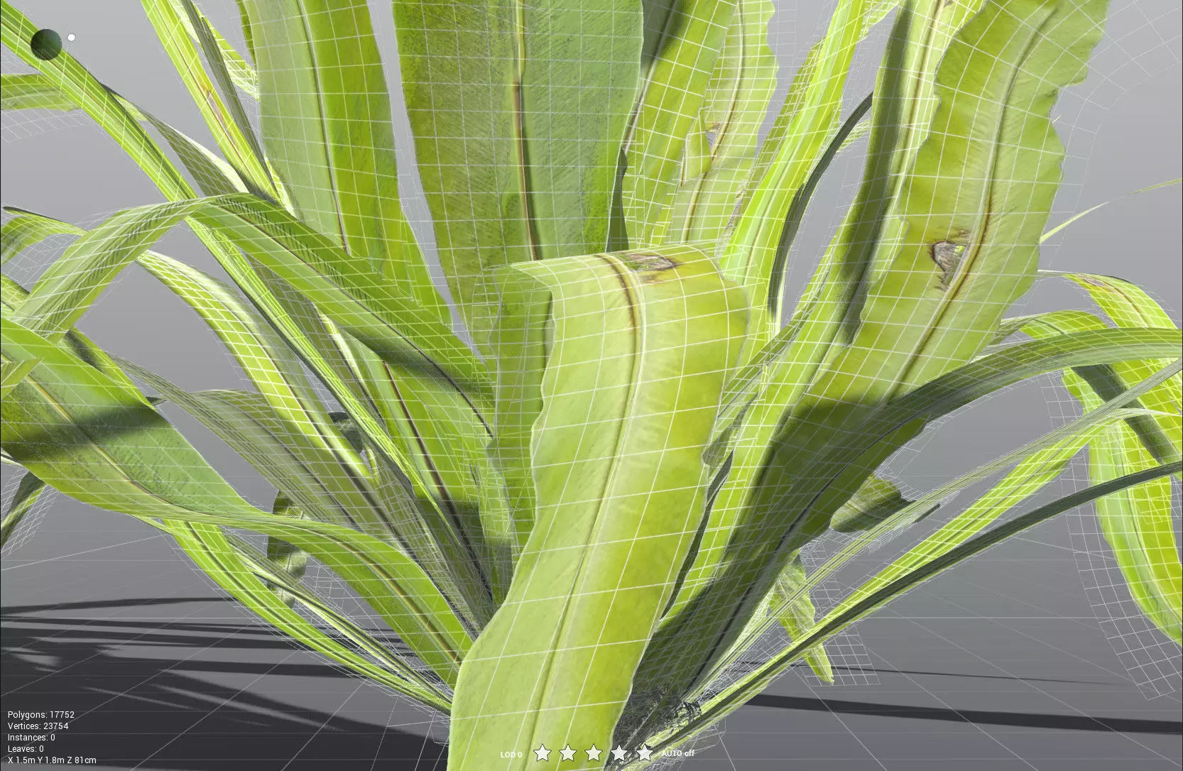 EVERYPlant Birds Nest Fern 3D model_33