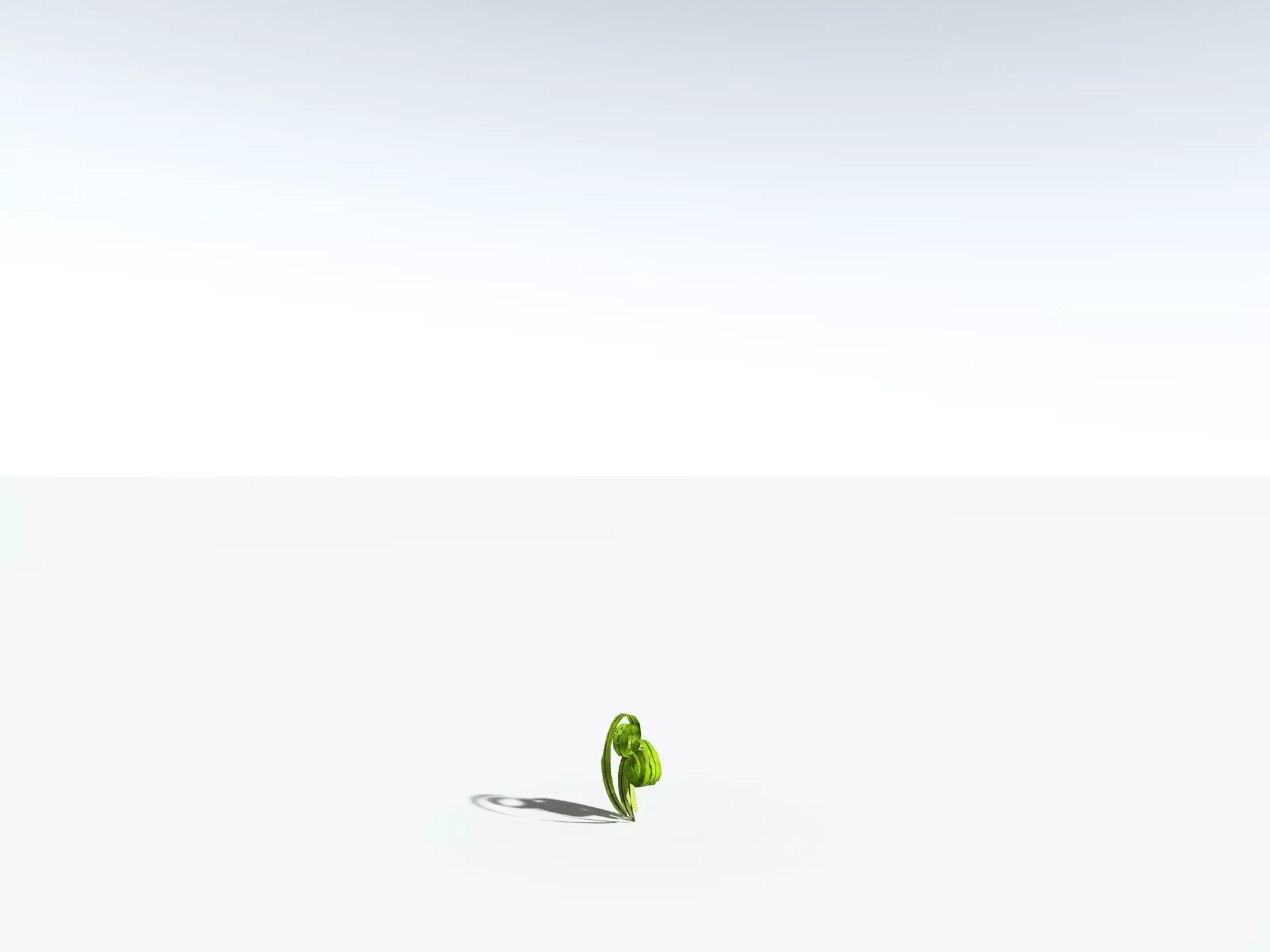 EVERYPlant Birds Nest Fern 3D model_31