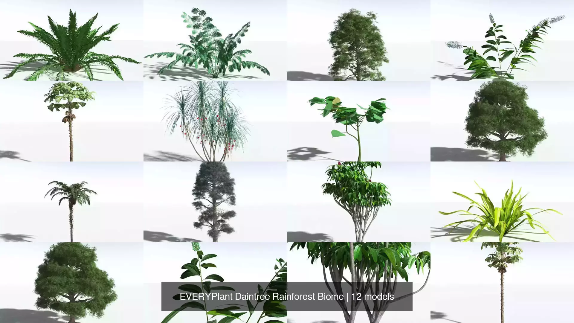 EVERYPlant Daintree Rainforest Biome 3D Model Collection_0
