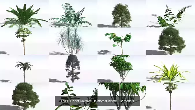 EVERYPlant Daintree Rainforest Biome