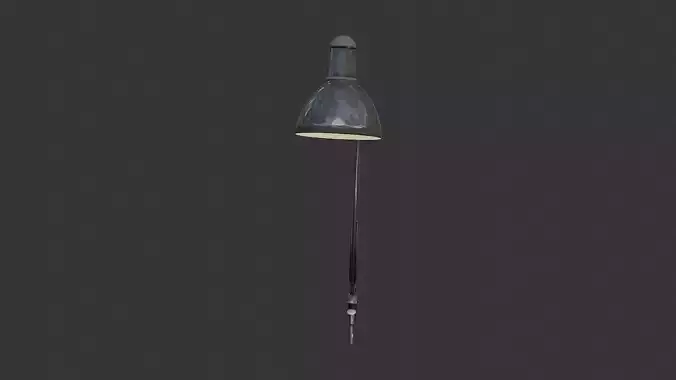 Black Adjustable Desk Lamp with Arm