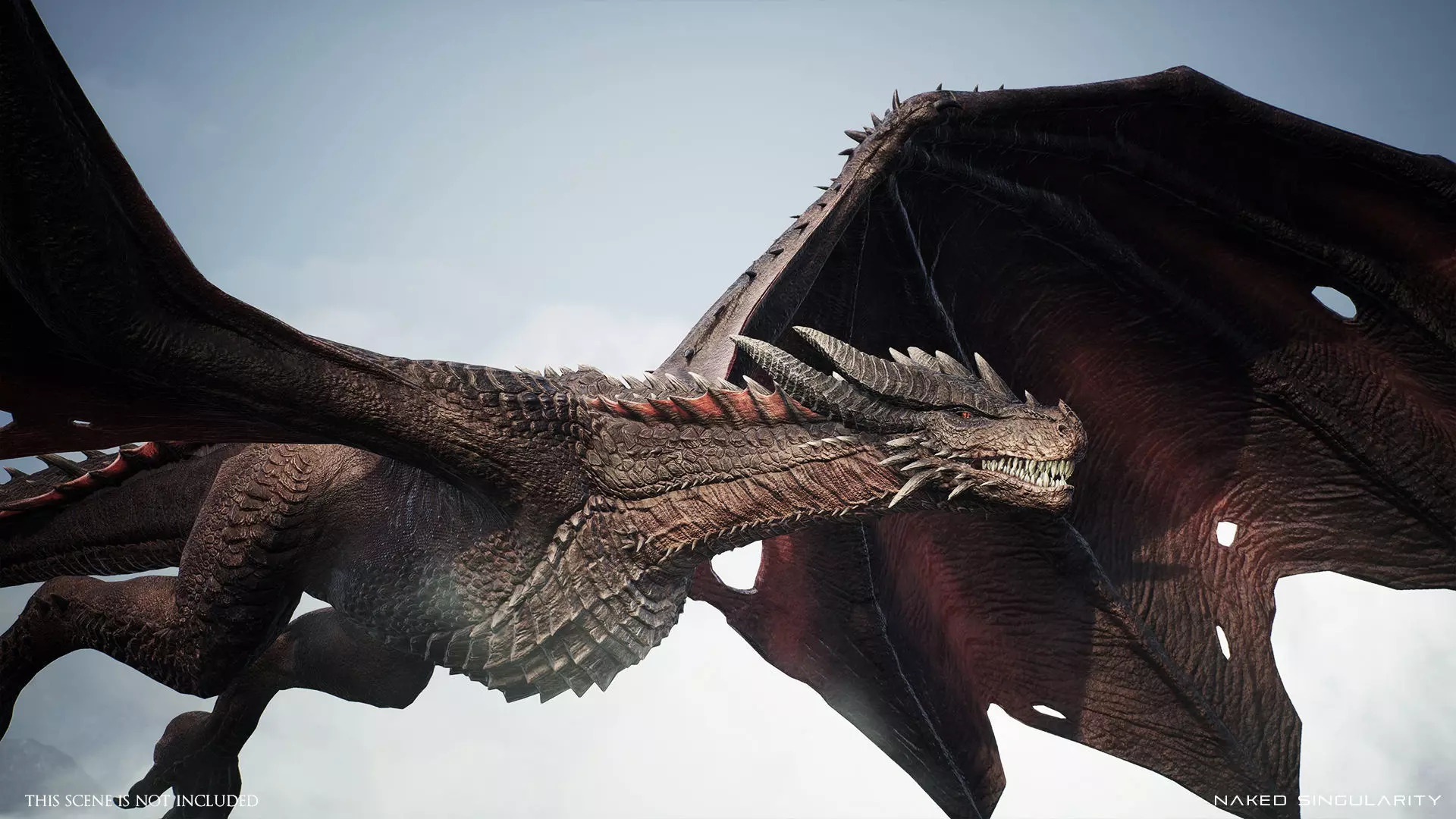 Wyvern Dragon - Fire wyvern dragon and Ice wyvern dragon Low-poly 3D model_14