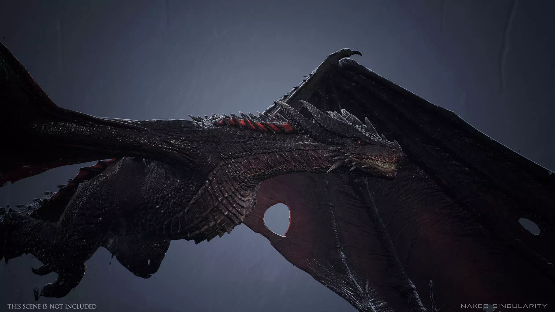 Wyvern Dragon - Fire wyvern dragon and Ice wyvern dragon Low-poly 3D model_6