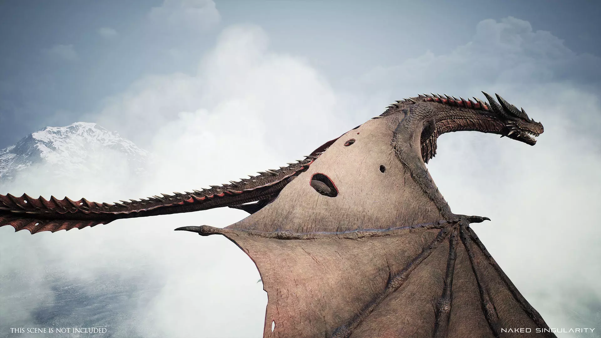 Wyvern Dragon - Fire wyvern dragon and Ice wyvern dragon Low-poly 3D model_19