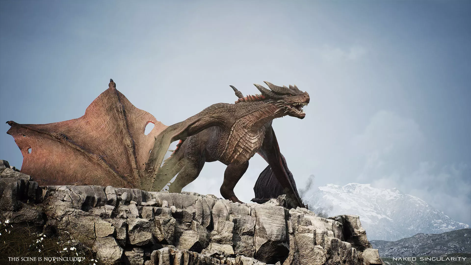 Wyvern Dragon - Fire wyvern dragon and Ice wyvern dragon Low-poly 3D model_13