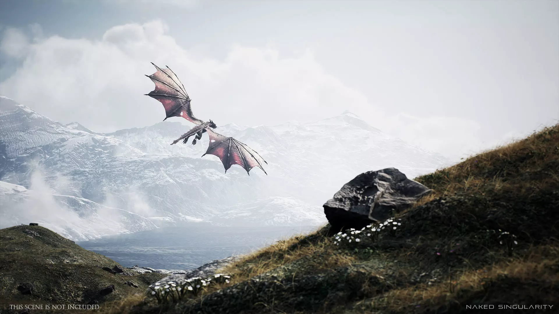 Wyvern Dragon - Fire wyvern dragon and Ice wyvern dragon Low-poly 3D model_17