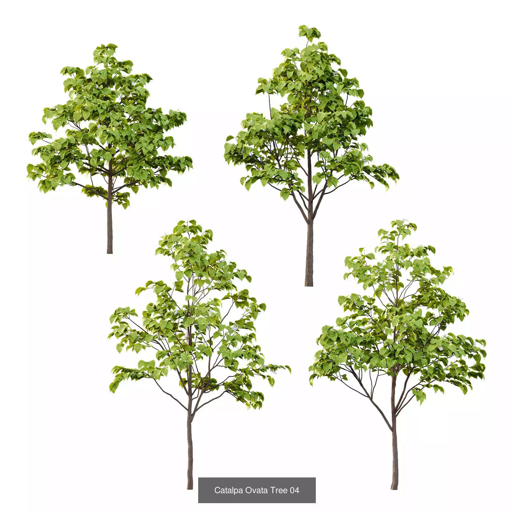 Excellent collection of Tree plants 16 Different Models 0022 _1