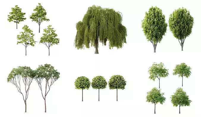Excellent collection of Tree plants 16 Different Models 0022 