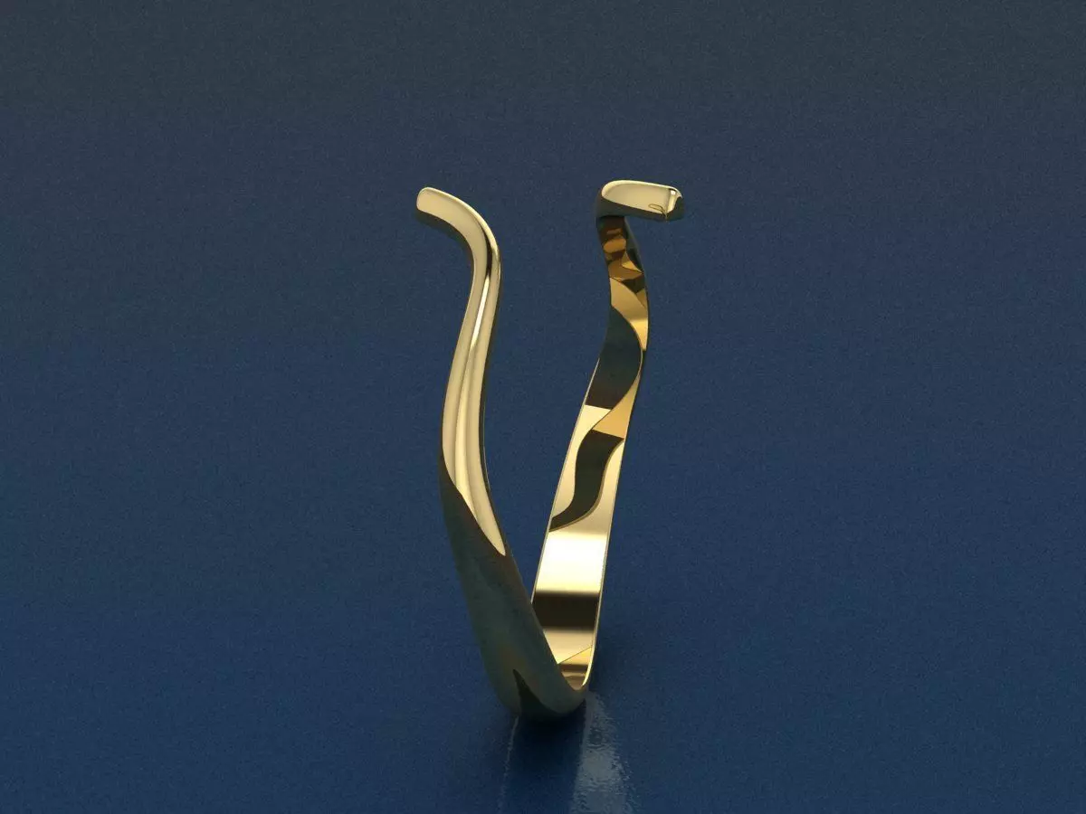 rings 3D print model_6