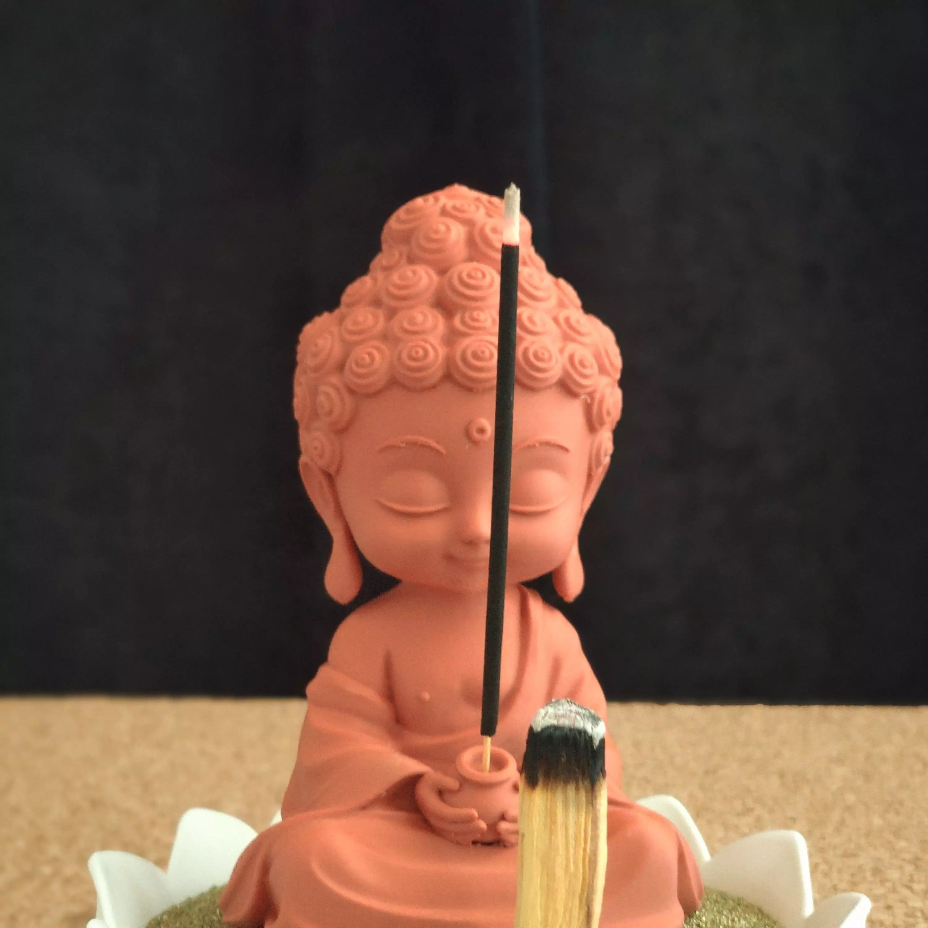 Buddha Lotus Sand Incense Holder  3D print model_7